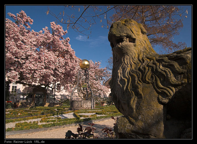 Katz'scher Garten Gernsbach mit Löwenskulptur, blühendem Magnolienbaum und Brunnen
