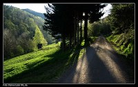Weg durchs Tal des Alten Mühlbachs