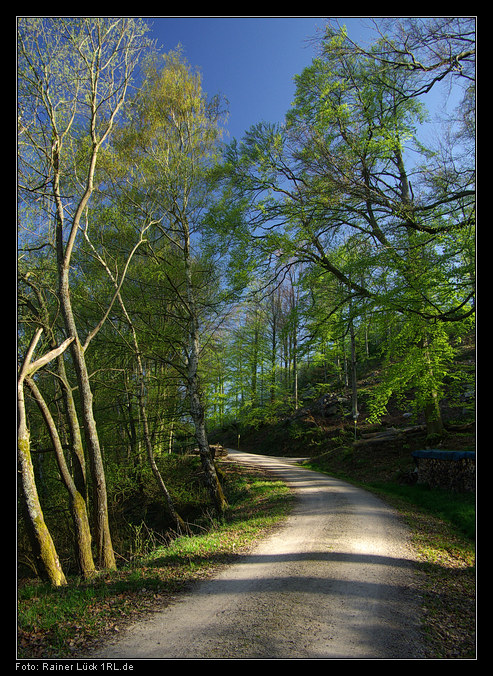 Waldweg bei Forbach